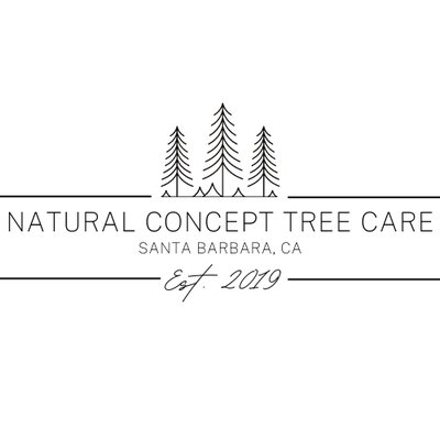 Natural Concept Tree Care owner Ivan Sanchez providing expert tree care services in Santa Barbara, CA