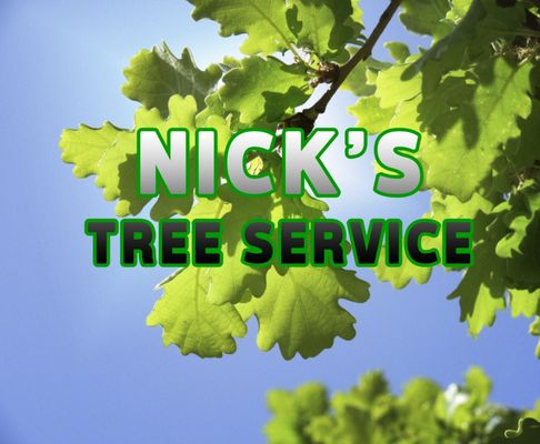 Natural Concept Tree Care owner Ivan Sanchez providing expert tree stump removal services in Santa Barbara, CA